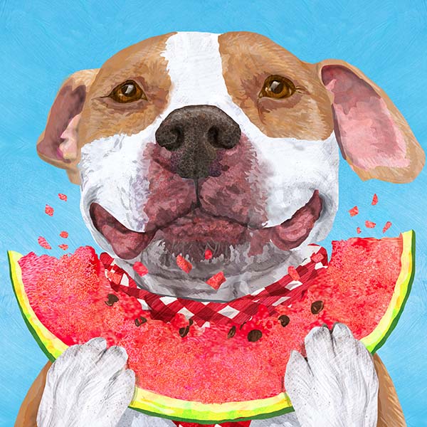 watermelon pittie