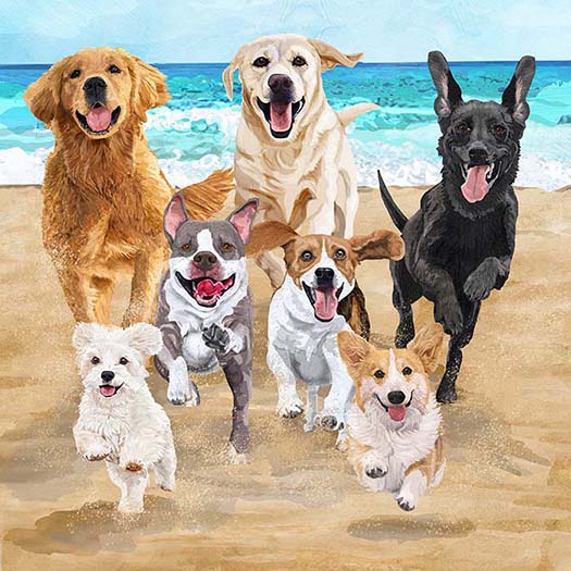 release the hounds beach version