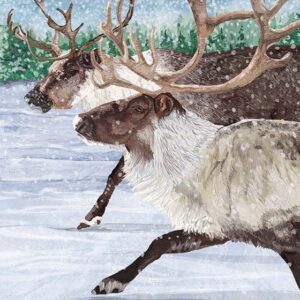 Caribou Crossing Wall Art Giclee Print on Canvas or Fine Art Paper