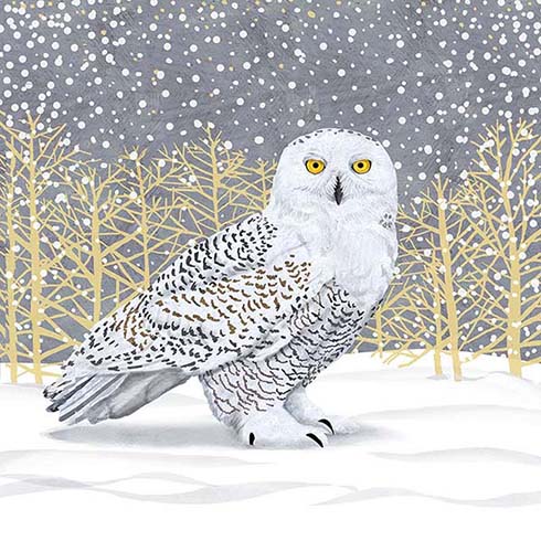 Snowy Owl Wall Art Giclee Print on Canvas or Fine Art Paper