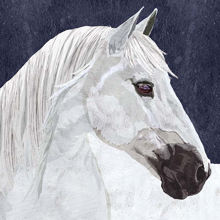 Moon Shadow White Horse Wall Art Giclee Print on Canvas or Fine Art Paper
